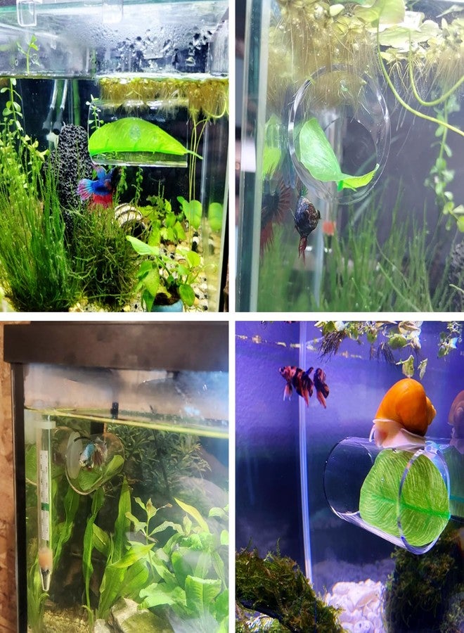 NANEEZOO NAANEEZOO Betta Tube Tunnel, Hollow Design Fish Cave Hideout with Suction Cup, Safer Toys for Small Fish & Shrimp, Aquarium Decor - Image 3